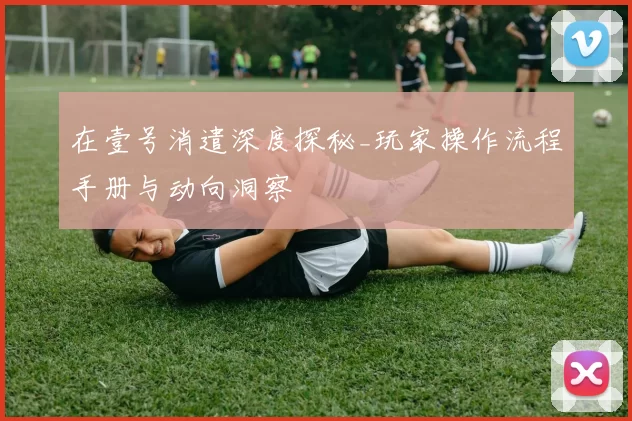 在壹号消遣深度探秘_玩家操作流程手册与动向洞察