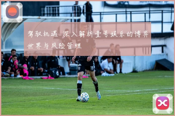 驾驭机遇_深入解析壹号娱乐的博弈世界与风险管理