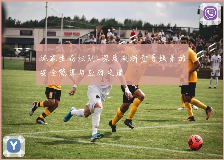 玩家生存法则_深度剖析壹号娱乐的安全隐患与应对之道