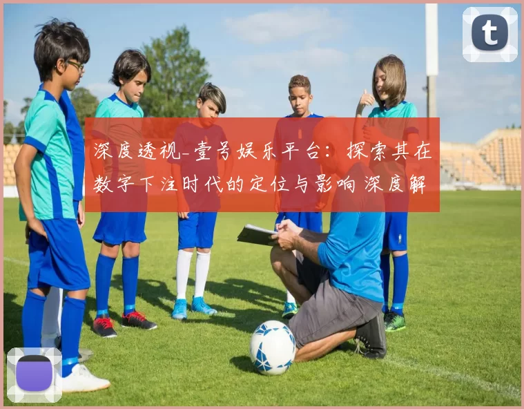 深度透视_壹号娱乐平台：探索其在数字下注时代的定位与影响 深度解析